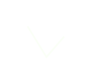 19 Fashion Online Store